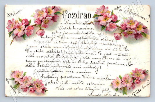 Postcard flowers Czech greeting (M2616)