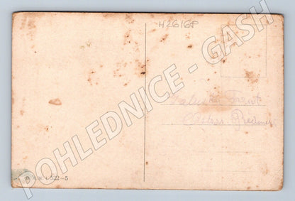 Pohlednice myslivecký motiv jelen v lese (M26168)