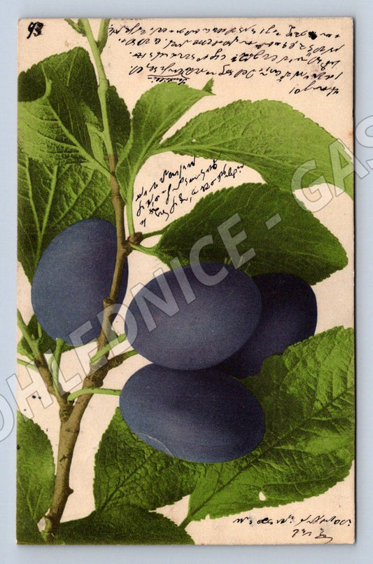 Postcard plum vintage motif (M2617)