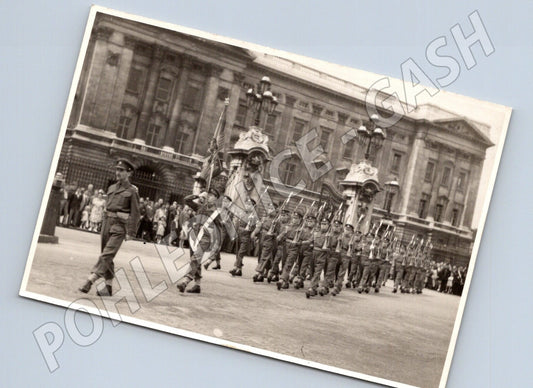 fotografie Londýn vojenská přehlídka u Buckinghamského paláce (M26194)