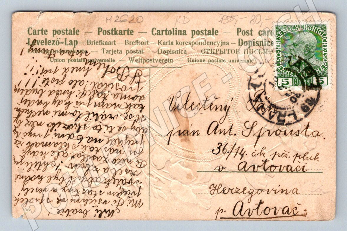 Postcard Czechoslovakia floral motif 1908 (M2620)