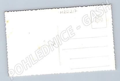 Pohlednice chlapec v zahradě (M26217)