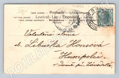 Postcard hand-painted currant 1905 (M2622)