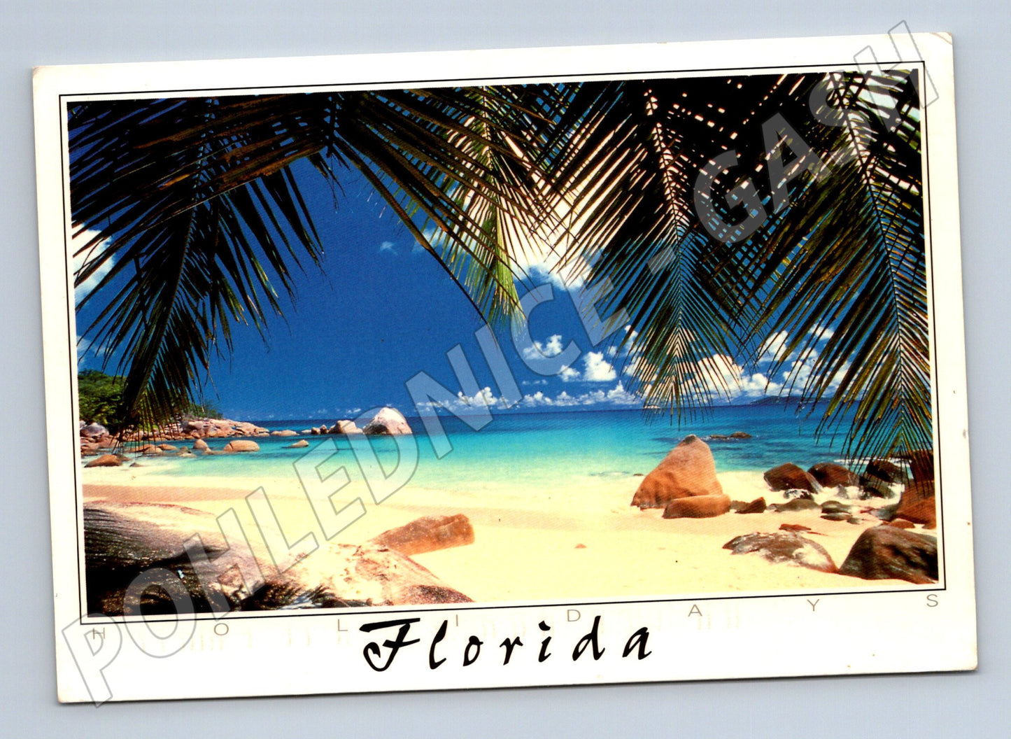 Pohlednice Florida pláž a palmy 1999 (M26230)
