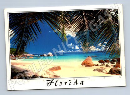 Pohlednice Florida pláž a palmy 1999 (M26230)
