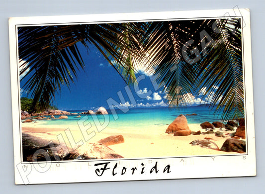 Pohlednice Florida pláž a palmy 1999 (M26230)