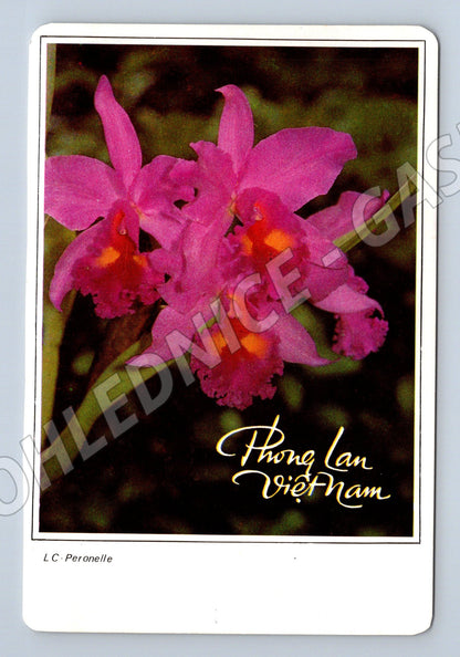 Pohlednice Vietnam orchideje Thong Lan 1989 (M26233)