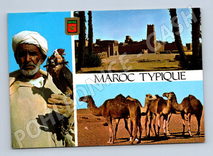 Maroko typické motivy sokolník velbloudi kasbah 1987 (M26239)