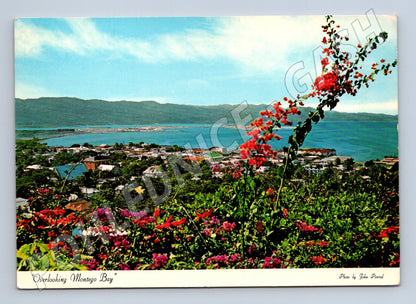 Pohlednice Jamaica Montego Bay záliv a květy (M26248)