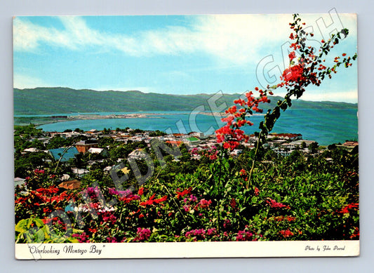 Pohlednice Jamaica Montego Bay záliv a květy (M26248)
