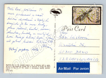 Pohlednice Jamaica Montego Bay záliv a květy (M26248)