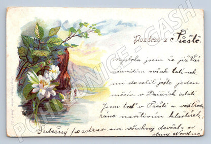 Postcard Greetings from Třeště Czech postcard (M2626)