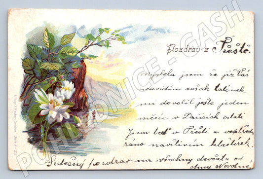 Postcard Greetings from Třeště Czech postcard (M2626)