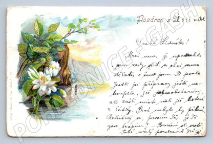 Postcard GREETINGS FROM USTÍ NAD ORLICÍ (M2628)