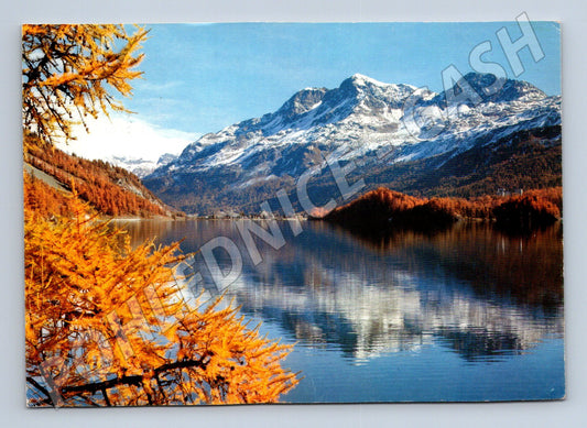 Pohlednice Švýcarsko Sils / Silsersee 1983 (M26281)