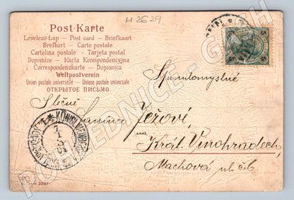 Postcard couple in folk costume ethnography (M2629)