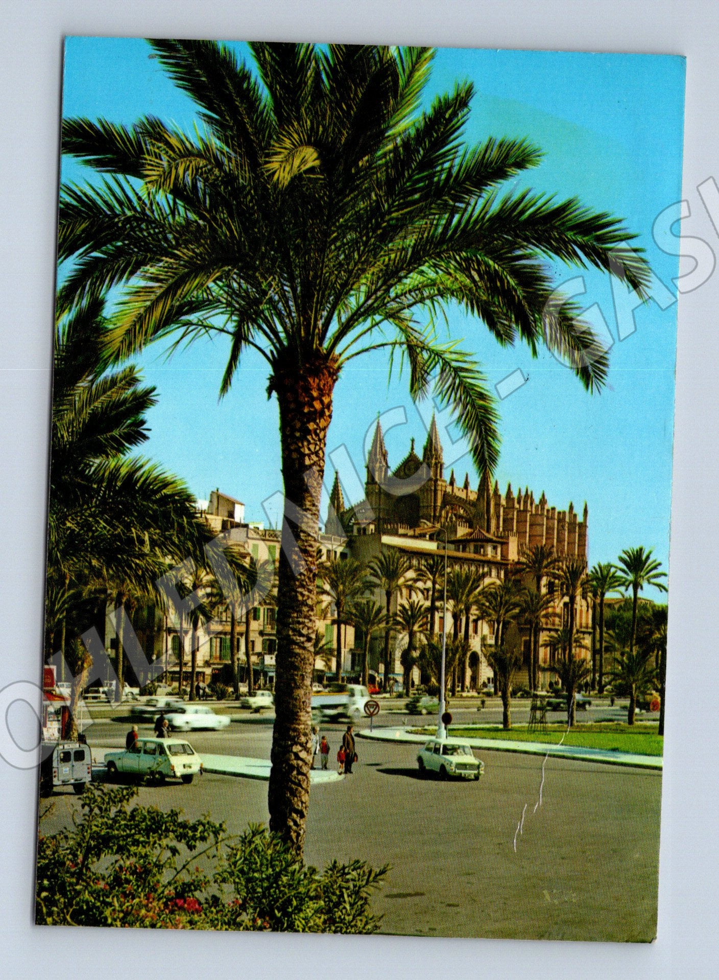 Pohlednice Španělsko Palma de Mallorca Katedrála (M26340)
