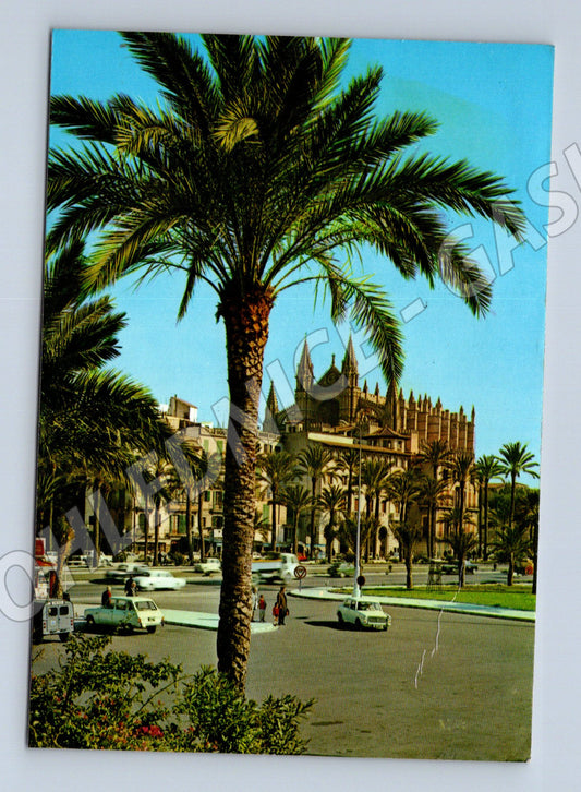 Pohlednice Španělsko Palma de Mallorca Katedrála (M26340)