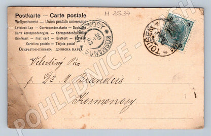 Postcard actress in costume (M2637)