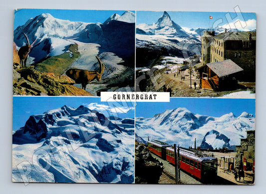 Pohlednice Švýcarsko Gornergrat Matterhorn lanovka 1970 (M26376)