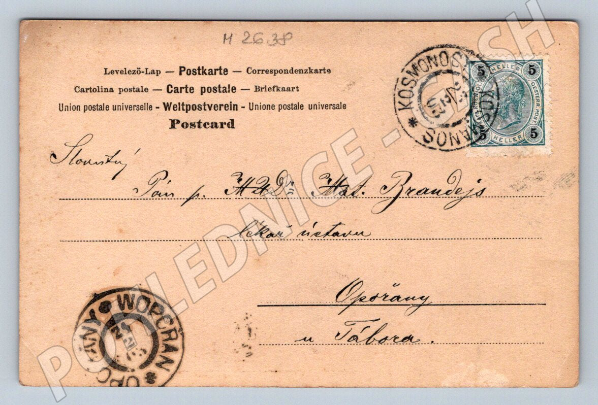 Postcard with four-leaf clovers and portraits of women (M2638)