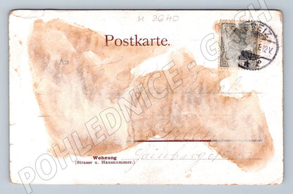 Postcard girl and kitten ethnography (M2640)