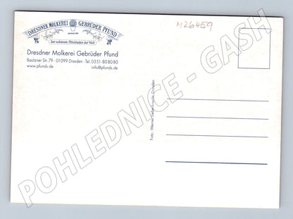 Pohlednice Německo Drážďany chlapci s psem a flétnou (M26459)
