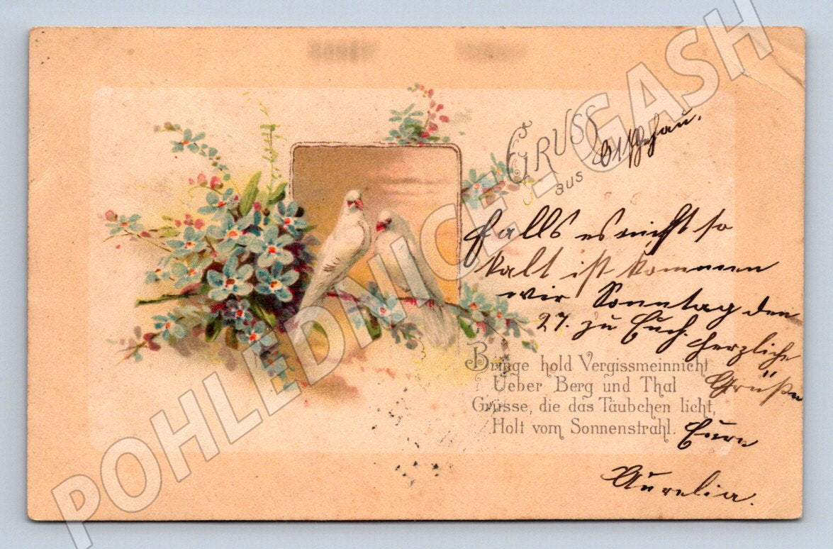Postcard pigeons German text romance (M2648)