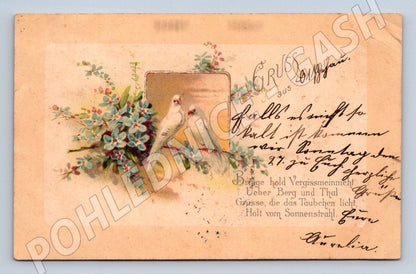 Postcard pigeons German text romance (M2648)