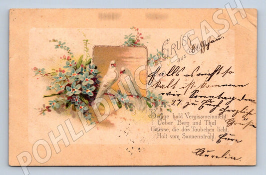 Postcard pigeons German text romance (M2648)