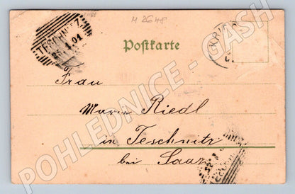 Postcard pigeons German text romance (M2648)