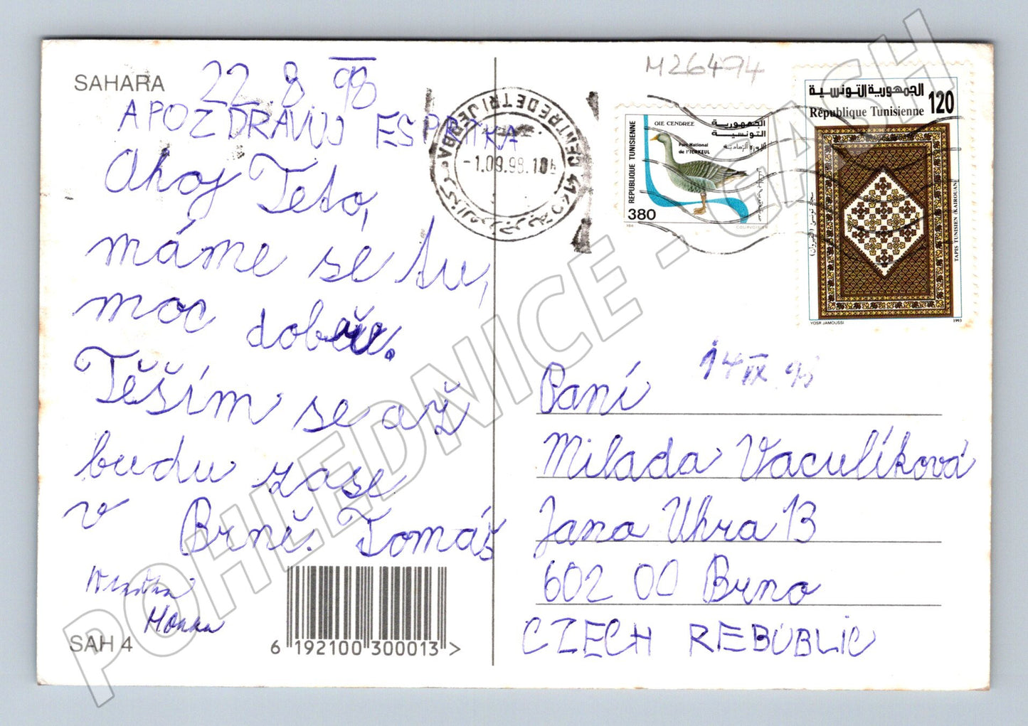 Pohlednice Tunisko Sahara palma velbloud 1998 (M26494)