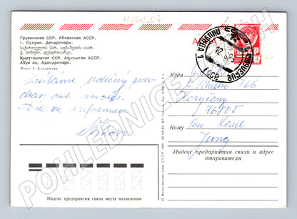 Pohlednice Rusko Suchumi Dendropark 1980 (M26504)