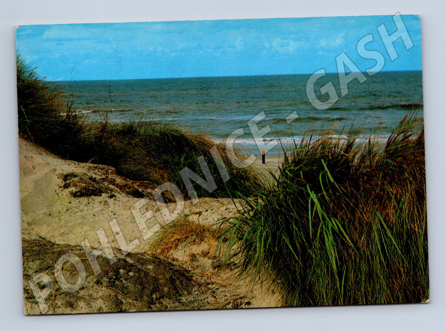 Pohlednice Belgie pláž duny Knokke-Heist (M26505)