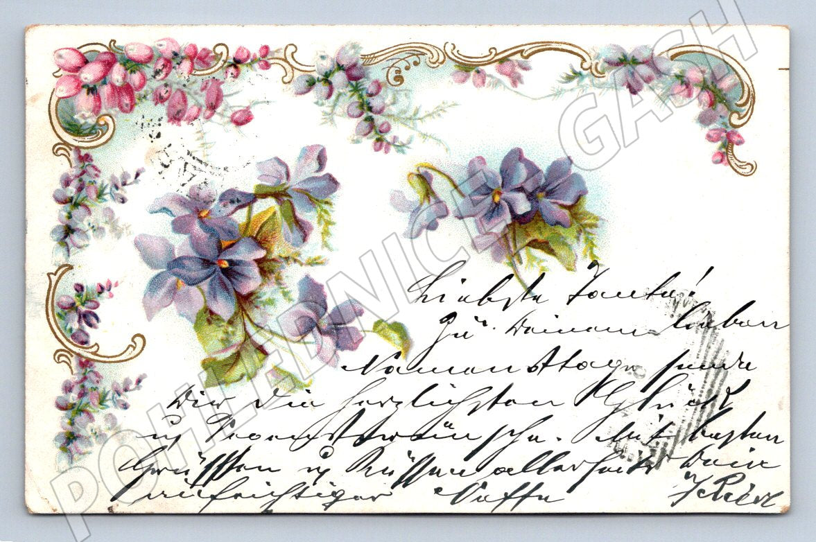 Postcard violets hand lettering (M2655)