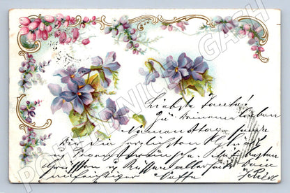 Postcard violets hand lettering (M2655)