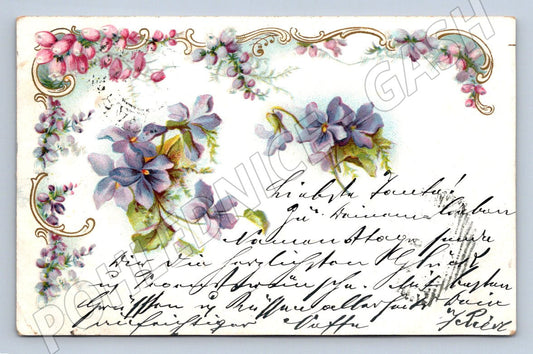 Postcard violets hand lettering (M2655)