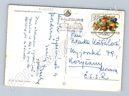 Pohlednice Rakousko Salzburg město hrad květiny 1974 (M26555)