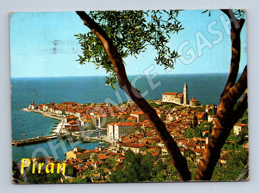 Pohlednice Slovinsko Piran pobřežní město s kostelem (M26582)