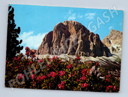 Pohlednice Itálie Dolomity Tofana di Rozes (M26641)