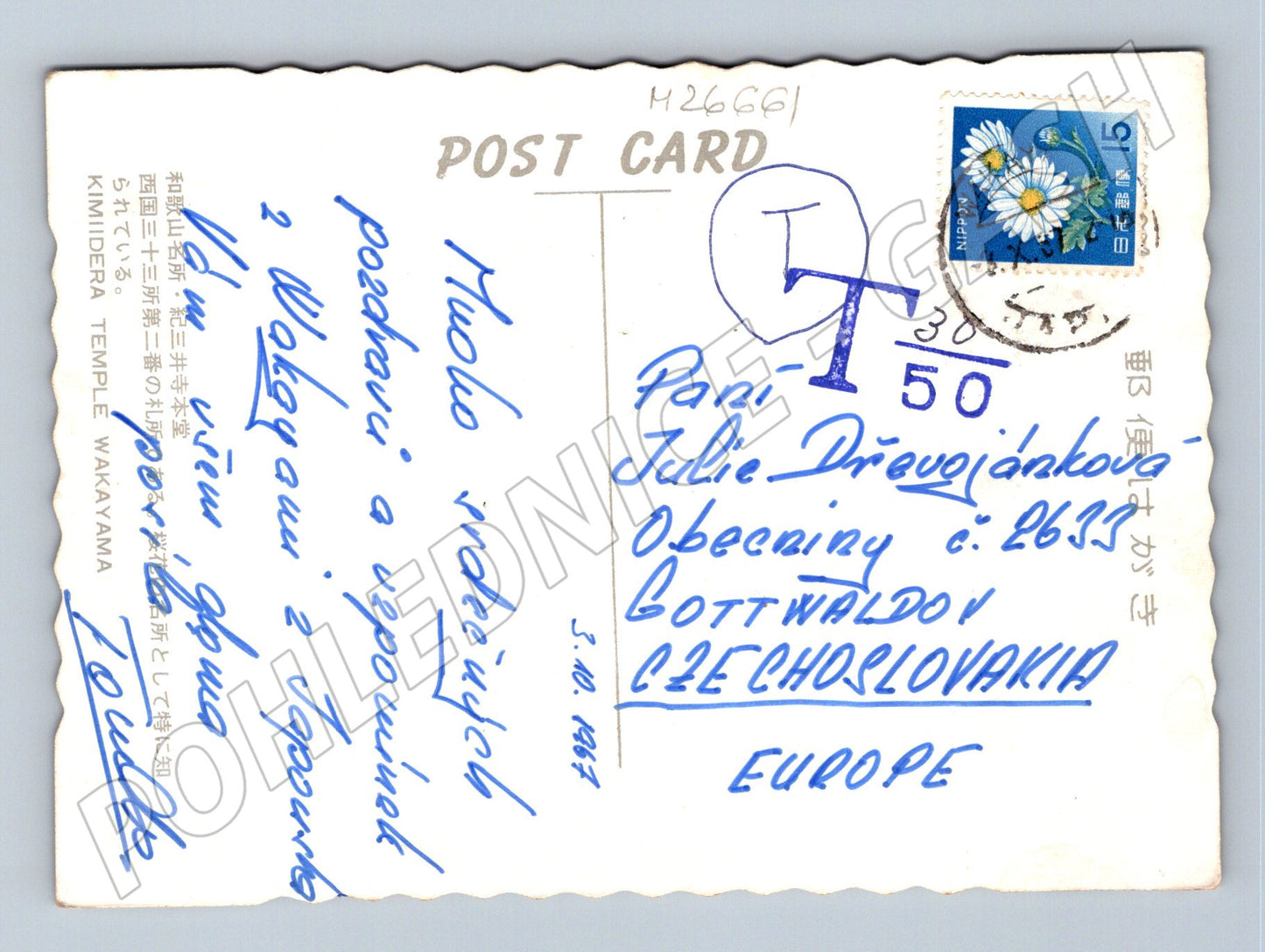 Pohlednice Japonsko Kimidera chrám třešně 1967 (M26661)