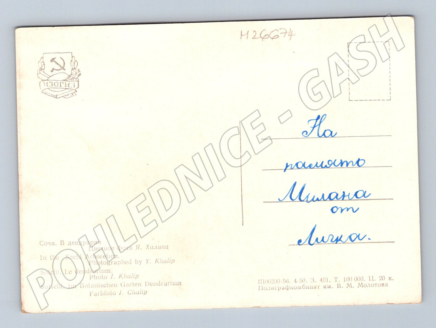 Pohlednice Rusko Soči dendrarium s pavilonem 1956 (M26674)
