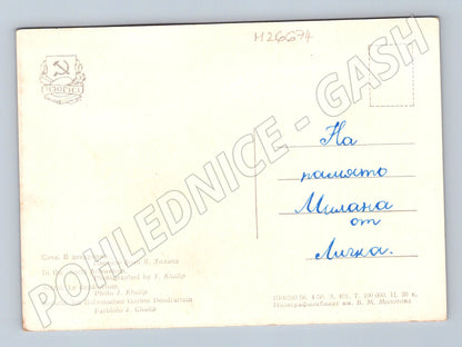 Pohlednice Rusko Soči dendrarium s pavilonem 1956 (M26674)
