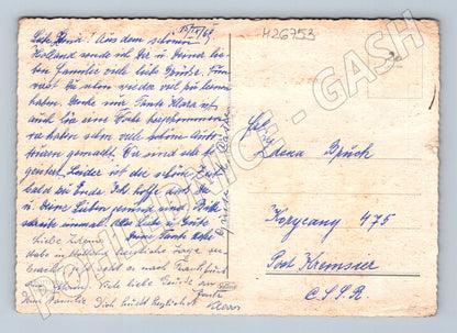 Pohlednice Holandsko nákupní pasáž s květinami 1969 (M26753)