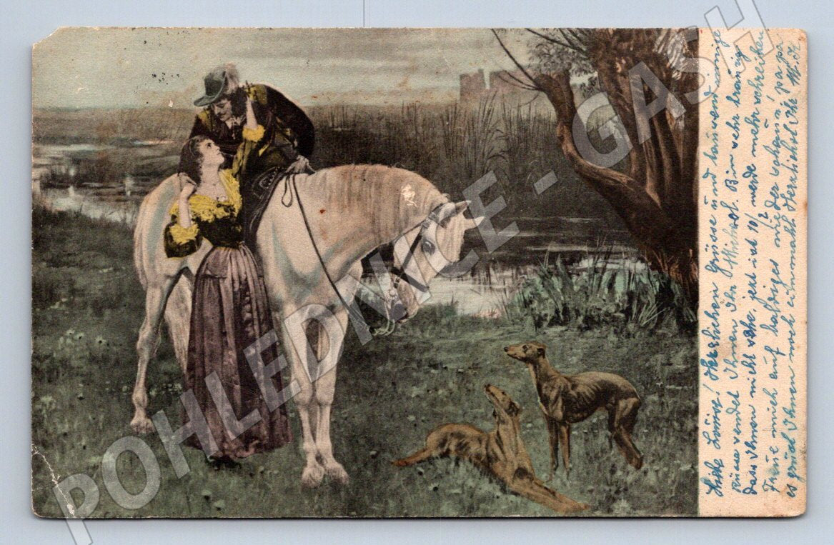 Postcard horse and greyhounds Austria-Hungary (M2676)