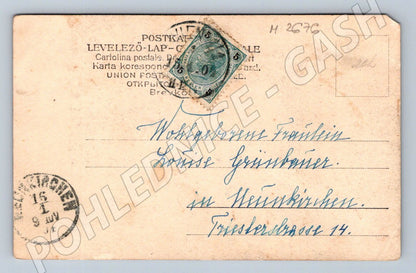 Postcard horse and greyhounds Austria-Hungary (M2676)