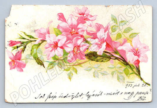 Postcard floral motif Hungary 1920 (M2677)