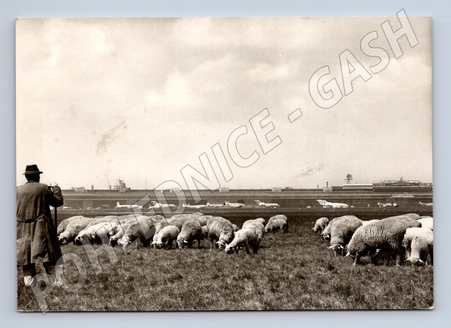 Pohlednice Německo Berlin Tempelhof ovce letiště 1972 (M26785)