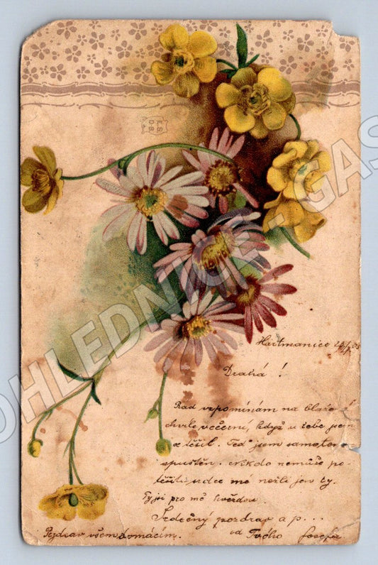 Postcard flowers Czech Republic 1903 (M2679)