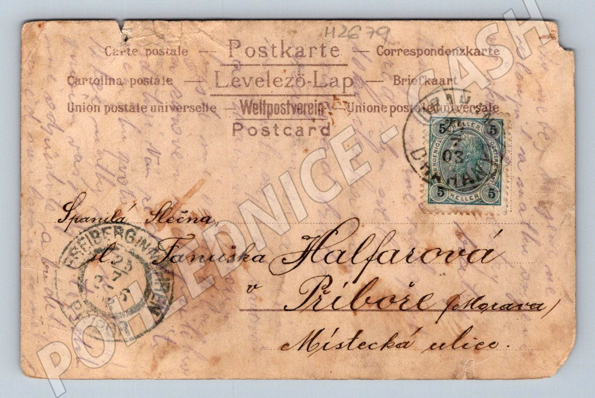 Postcard flowers Czech Republic 1903 (M2679)